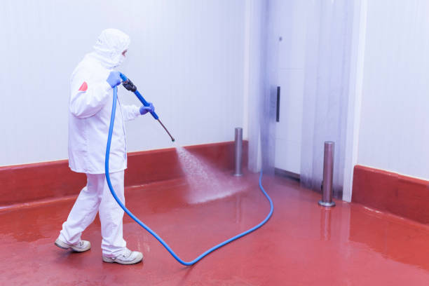 Professional  Pressure Washing Services in Bradley Gardens, NJ